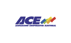 Asociación Cooperativa Electoral (ACE)